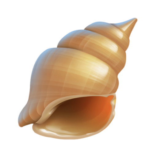 🐚 Spiral Shell - Emojis para Copiar