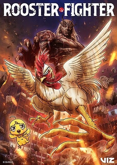 Rooster-Fighter-374x527